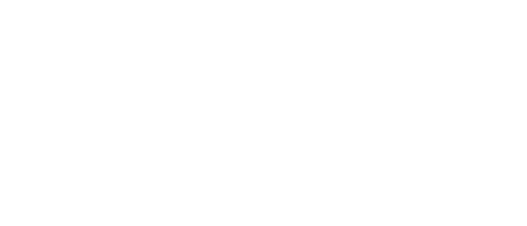 Benzini Campers logo