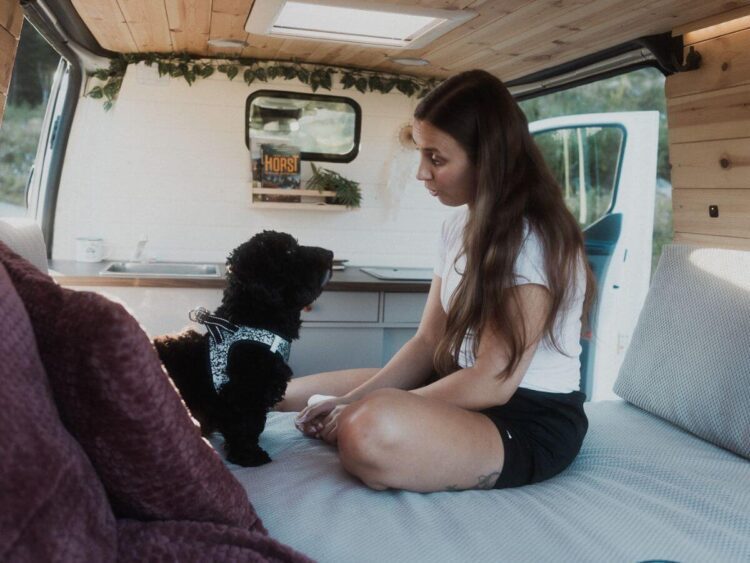 Dog-friendly Campervan for Rent